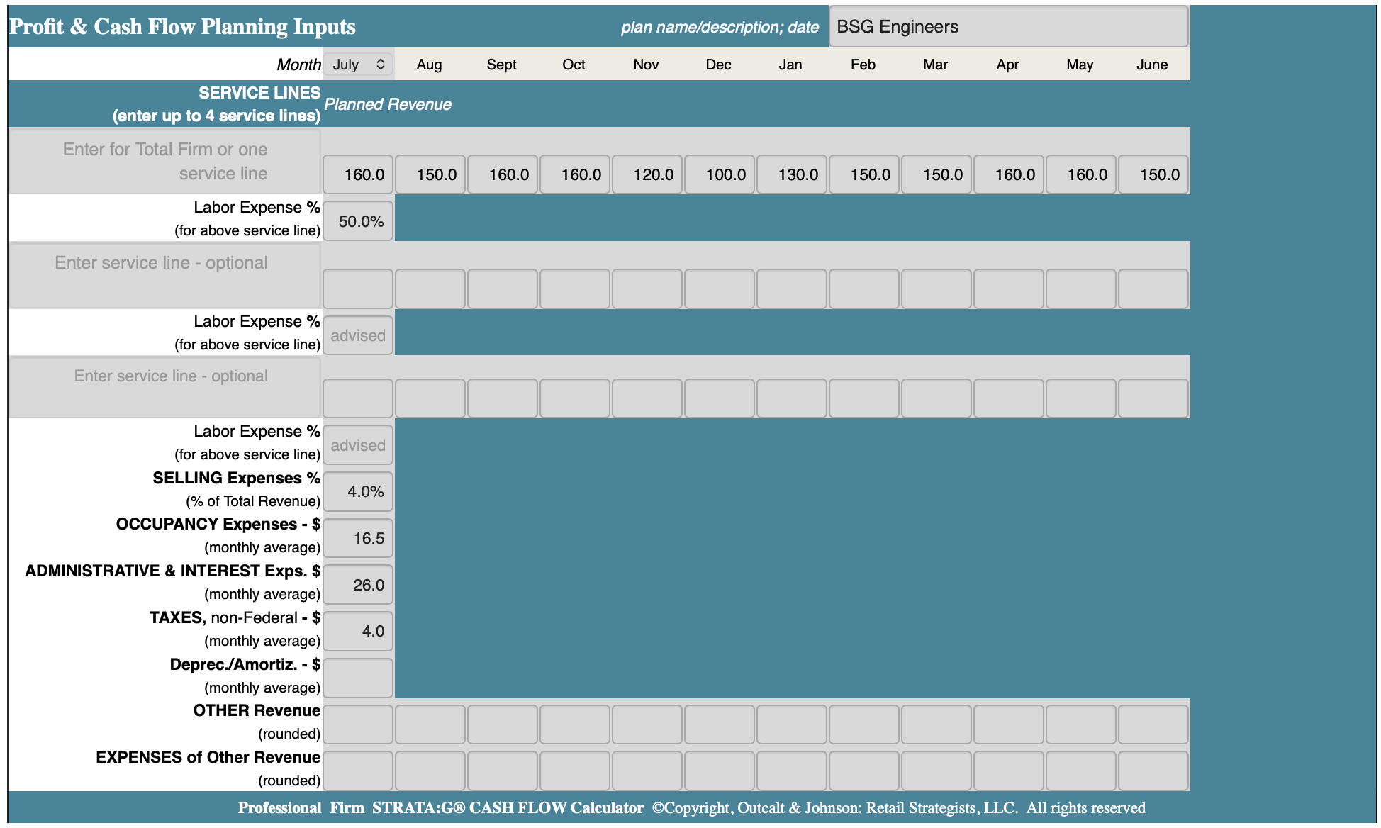 Inputs screen - Professional Firms