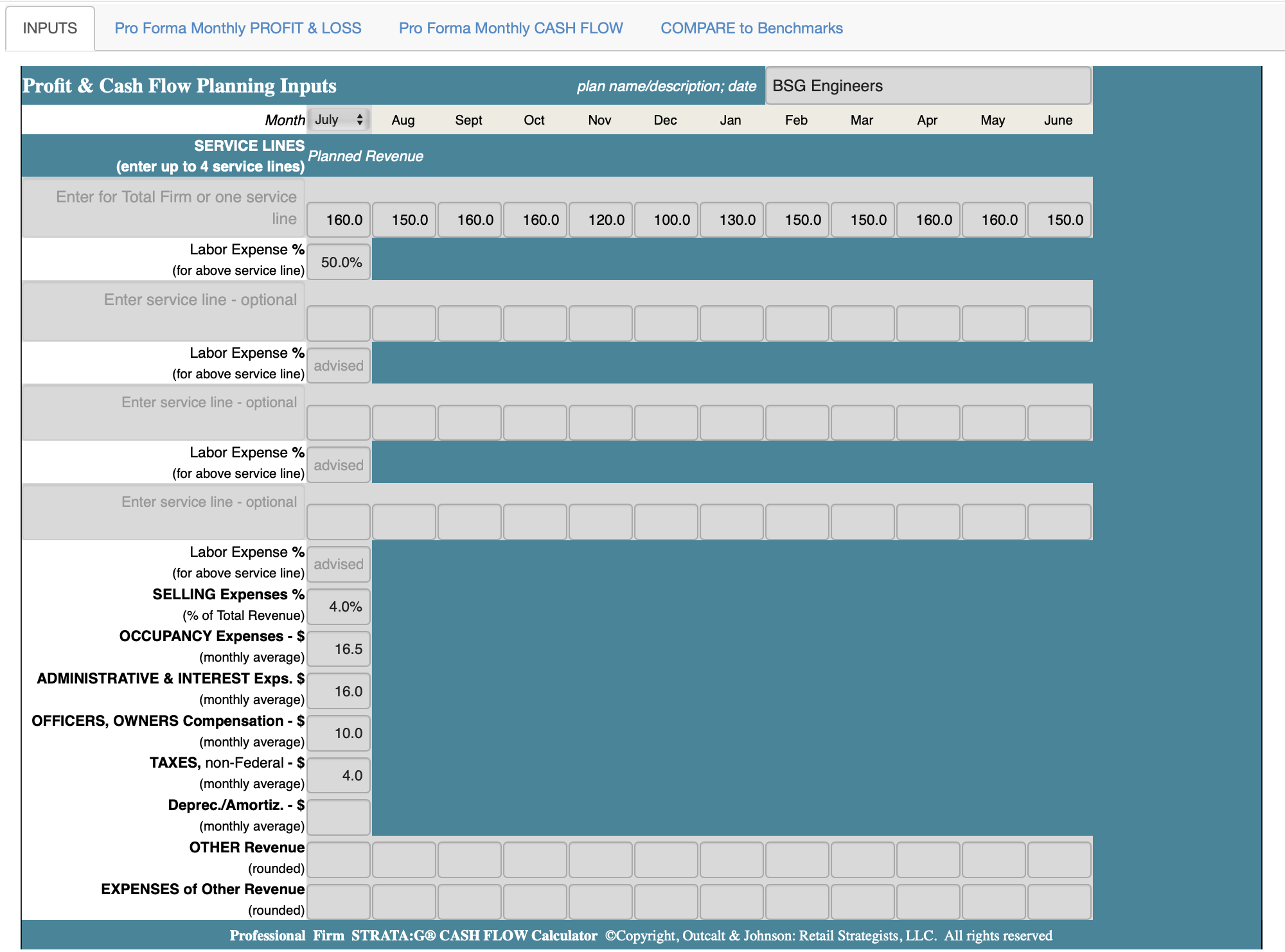 Inputs screen - Professional Firms