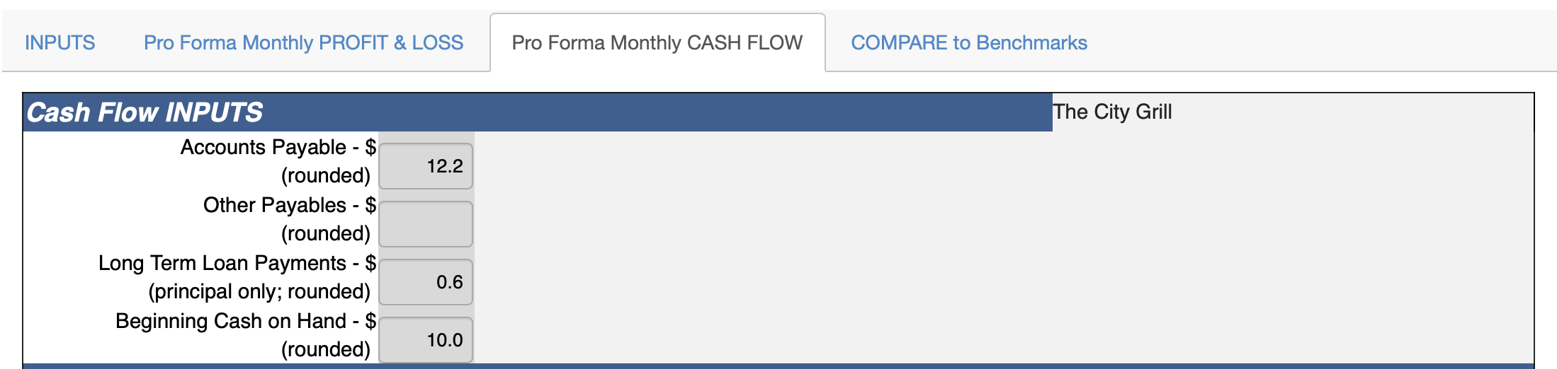 Cash Flow input screen - Restaurants